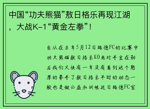 中国“功夫熊猫”敖日格乐再现江湖，大战K-1“黄金左拳”！